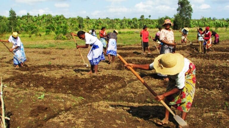 Préparation du sol pour la prochaine saison