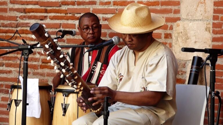 Un artiste entrain de jouer du valiha