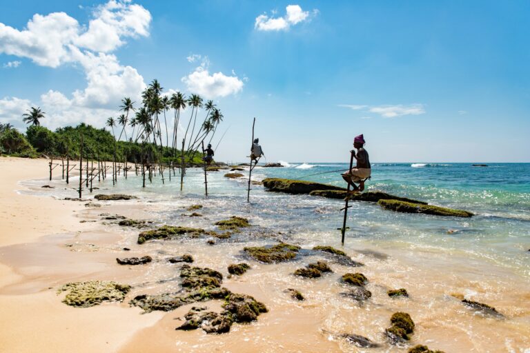 Quand partir au Sri Lanka