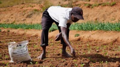 techniques agricole