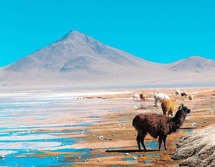 Illustration en image en Bolivie