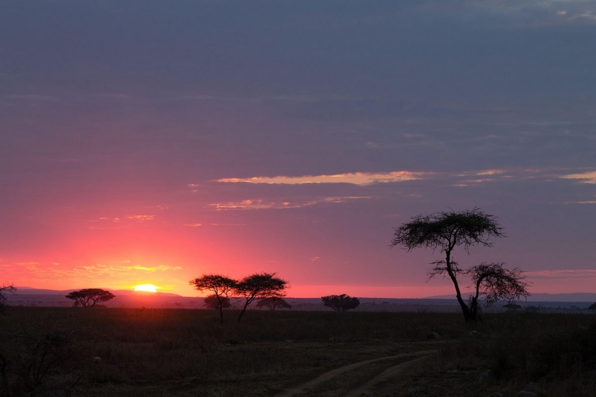Image du Pays Tanzanie