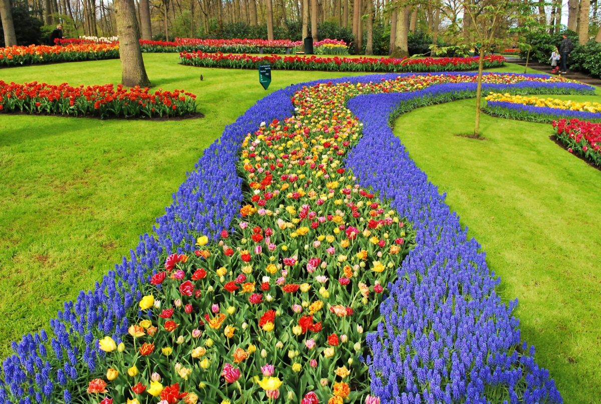 Keukenhof, où voir les tulipes 